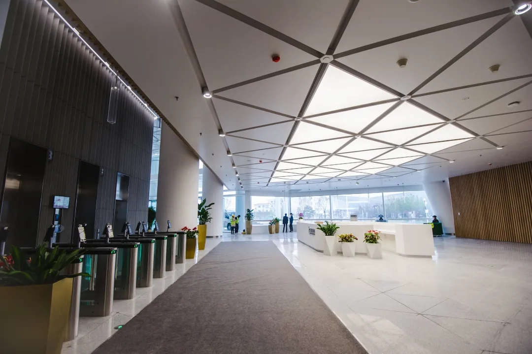 1629278387716496.jpg 6.webp.jpg