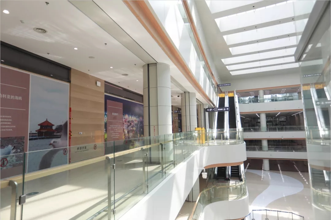 1629337264946144.jpg 6.webp.jpg